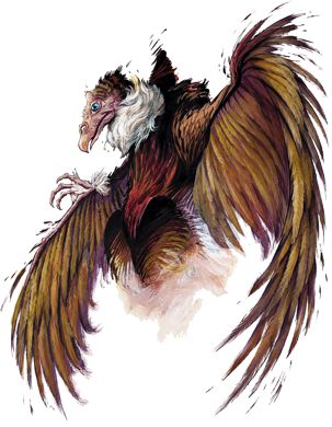 Aarakocra (Athas)