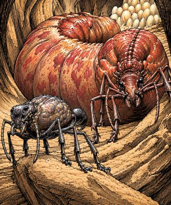 Antloid, Desert - Dynamis and Queen