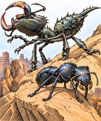 Antloid, Desert - Worker and Soldier