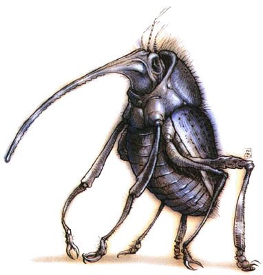 Baatezu, Lesser, Kocrachon