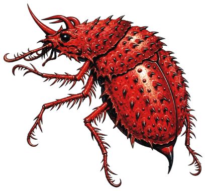 Beetle, Dragon