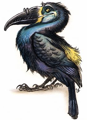 Bird, Talking