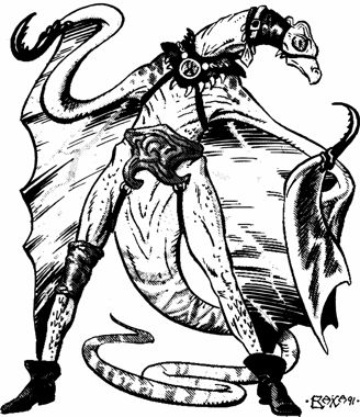 Dimensional Warper