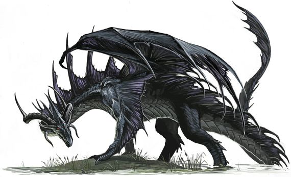 Black Dragon