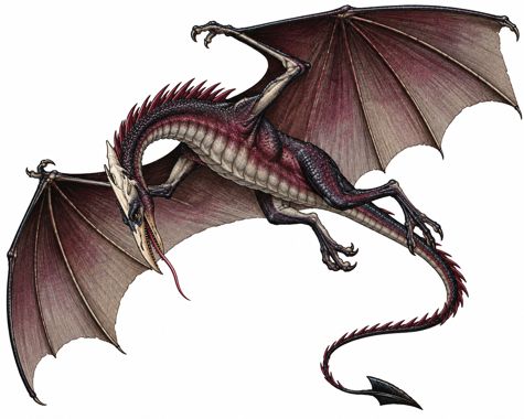 Dragonnel