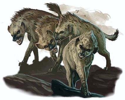 Hyena