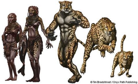 Lycanthrope, Werebaboon