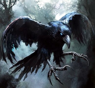 Netherbird