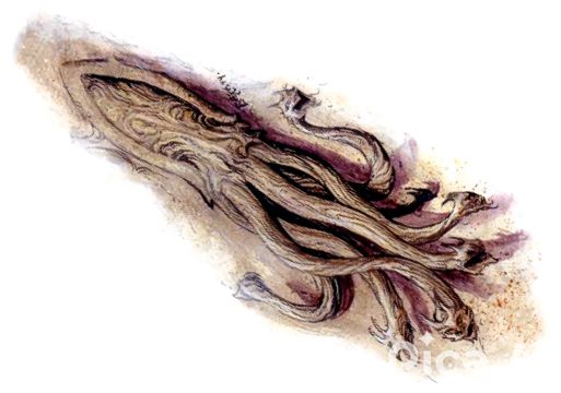 Paraelemental Beast, Silt