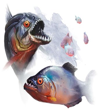 Piranha