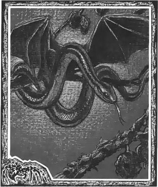 Rainbow Serpent, The