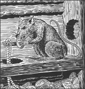Rat, Burglar
