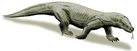 Megalania
