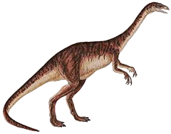 Anchisaurus