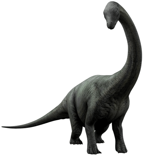 Brontosaurus