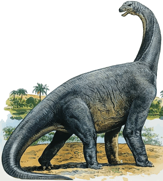 Cetiosaurus