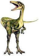 Compsognathus