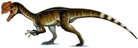 Dilophosaurus