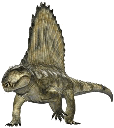 Dimetrodon