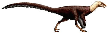 Ornitholestes
