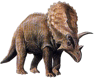 Pentaceratops