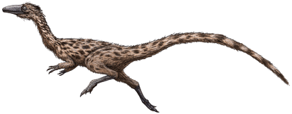 Podokesaurus
