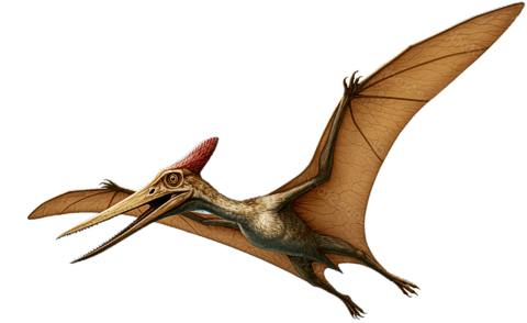 Pterosaurus
