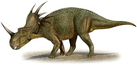 Styracosaurus