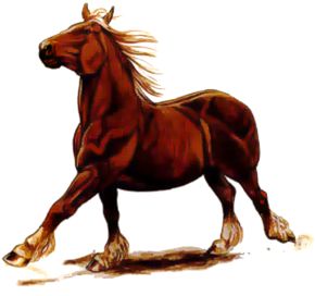 Gildmane