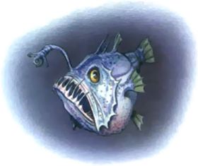 Angler Fish