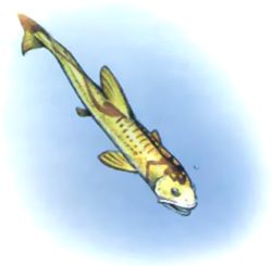 Death Minnow