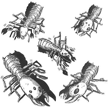 Stone Termite