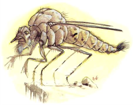 Tanar’ri, Greater, Chasme